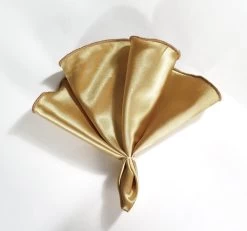 Antonio Ricci 2-in-1 Pouf Round Pocket Square - Light Gold -Fashionable Costume AR PKS HR 203B 2 01932.1668188453