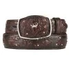 King Exotic Genuine Caiman Cut-Out Design Western Belt - Black Cherry
