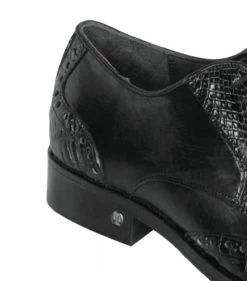 Lombardy - Genuine Caiman Belly Wingtip Dress Shoe - Black -Fashionable Costume LMB ZLM018205 4 79087.1598045558