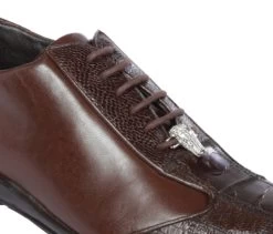 Los Altos Genuine Ostrich Leg Patch Design Brown Sneaker -Fashionable Costume LSA ZC091907 2 62130.1598207797