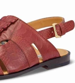 Mauri Genuine Ostrich Leg And Hornback Sandal -Fashionable Costume MRI SH 5133 3 79669.1668369824