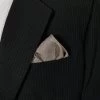 100% Silk Pre-Folded Point Design Pocket Square Insert - Taupe Paisleys
