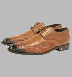Vestigium Genuine Ostrich Quill & Calf Faded Tone Oxford Dress Shoe