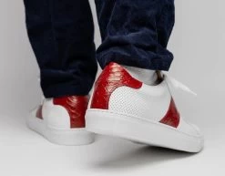 Zelli 100% Genuine Crocodile & Calfskin Sneaker - Red On White -Fashionable Costume ZEL 66 101 RD WH 3 16104.1677191961