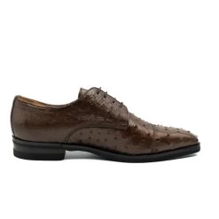 Zelli Italian 100% Genuine Ostrich Quill Cap Toe Dress Shoe -Fashionable Costume ZEL OST 23 538br 2 37786.1676671220