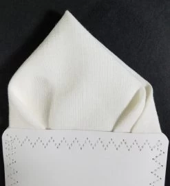 Men's Winter White 100% Linen Pre-Folded Pocket Square Insert - Point Design -Fashionable Costume white linen4 70000.1643133068